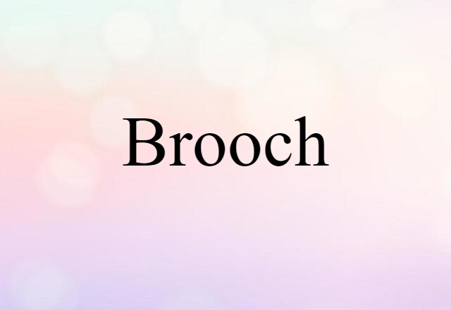 Brooch (noun) Definition, Meaning & Examples