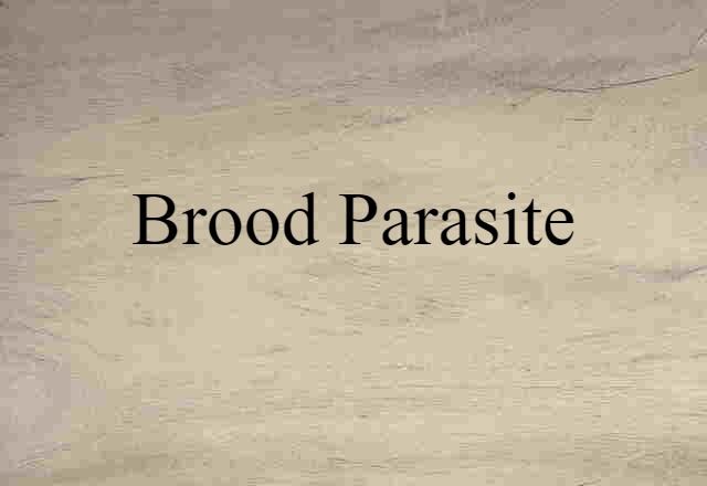 Brood Parasite (noun) Definition, Meaning & Examples