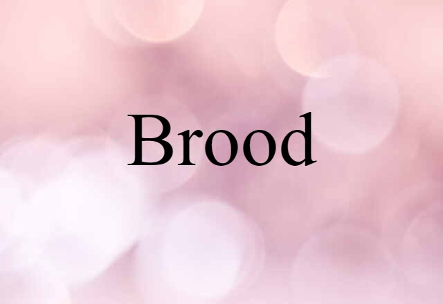 Brood (noun) Definition, Meaning & Examples