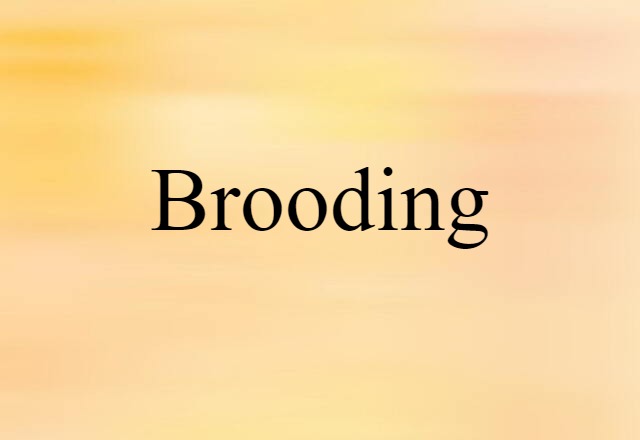 Brooding (noun) Definition, Meaning & Examples