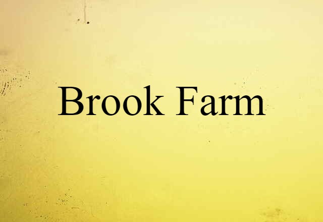 Brook Farm (noun) Definition, Meaning & Examples