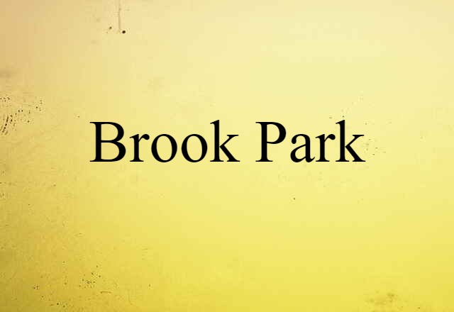 Brook Park (noun) Definition, Meaning & Examples