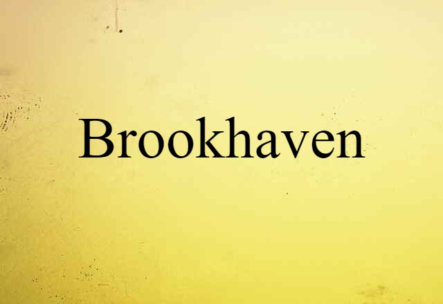 Brookhaven (noun) Definition, Meaning & Examples