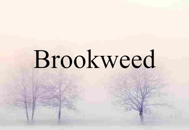 brookweed