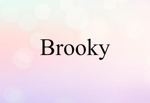 Brooky (noun) Definition, Meaning & Examples