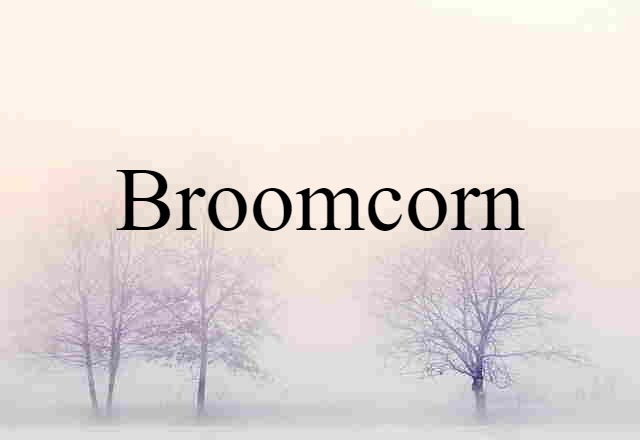 broomcorn