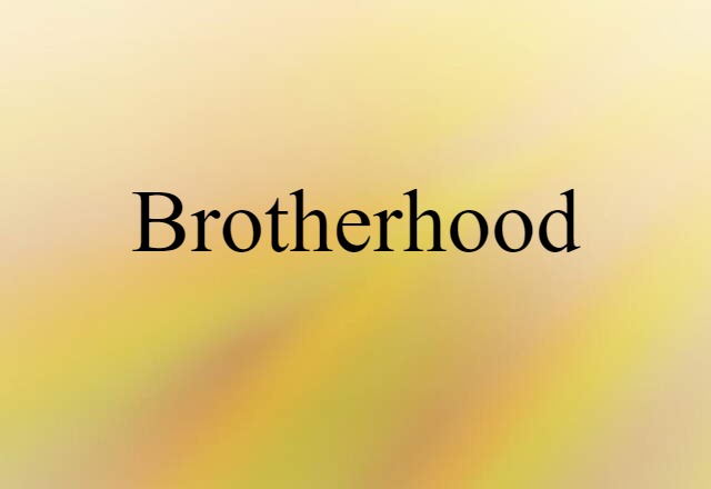 Brotherhood (noun) Definition, Meaning & Examples