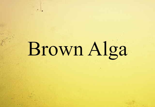 Brown Alga (noun) Definition, Meaning & Examples