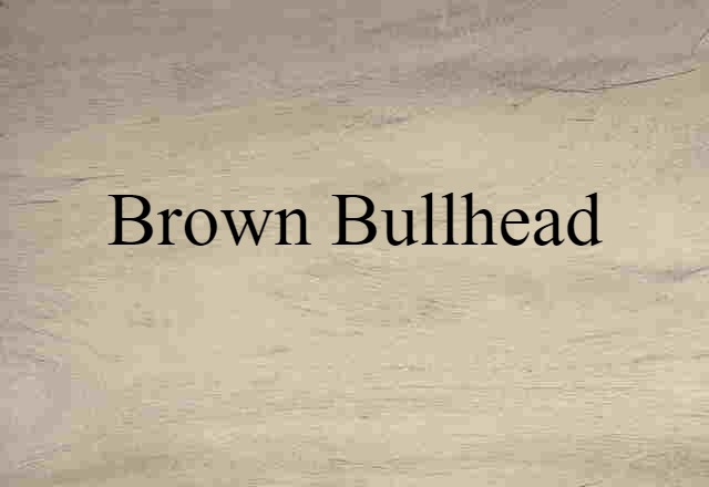 Brown Bullhead (noun) Definition, Meaning & Examples