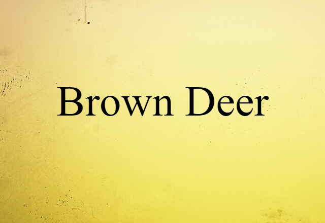 Brown Deer (noun) Definition, Meaning & Examples