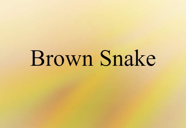 brown snake