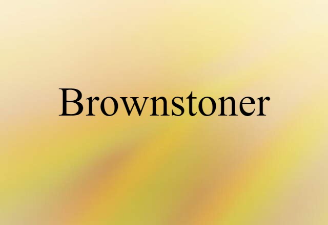 Brownstoner (noun) Definition, Meaning & Examples