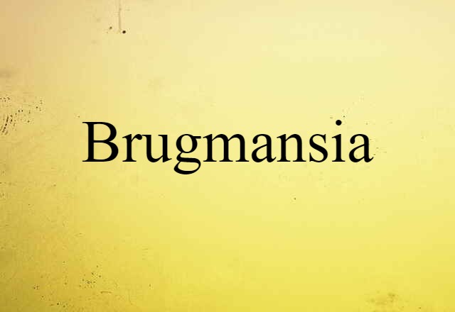 brugmansia