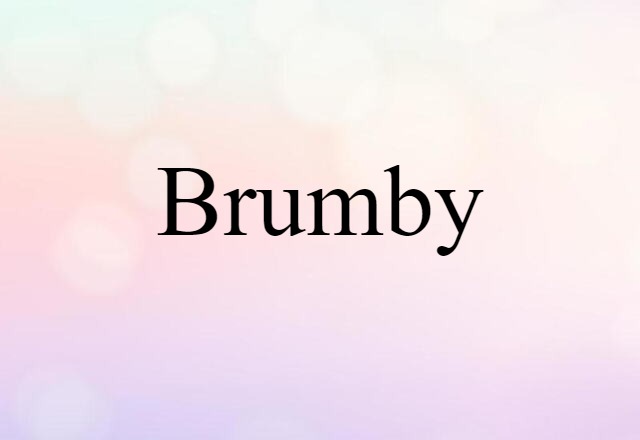 Brumby (noun) Definition, Meaning & Examples