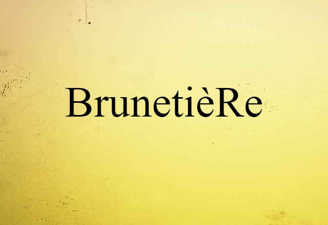 Brunetière (noun) Definition, Meaning & Examples