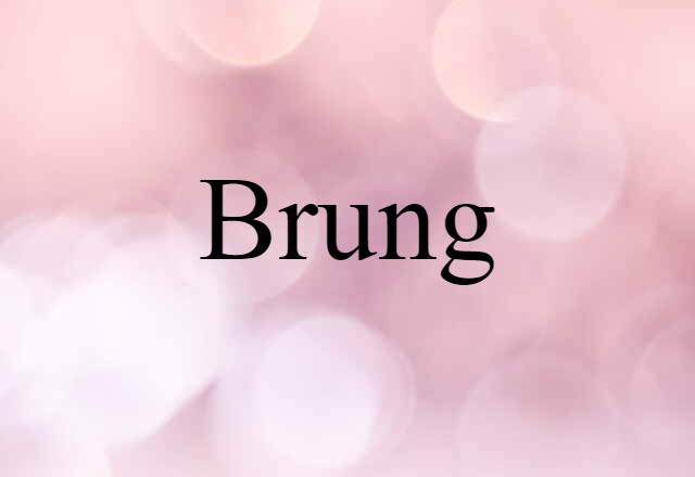 Brung (noun) Definition, Meaning & Examples