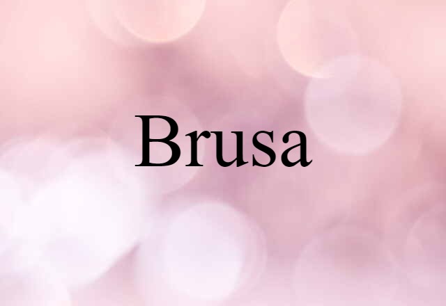 Brusa (noun) Definition, Meaning & Examples