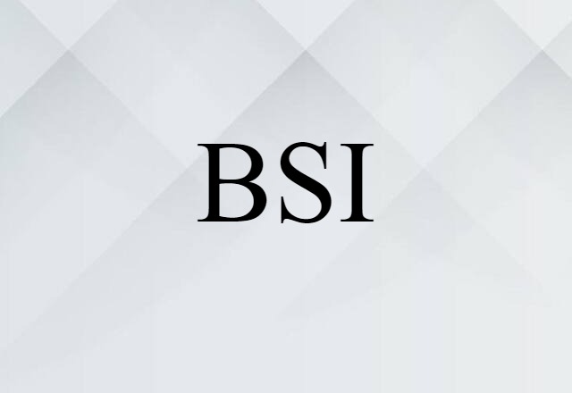 BSI (noun) Definition, Meaning & Examples