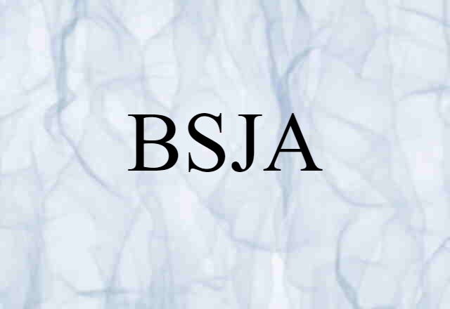 BSJA (noun) Definition, Meaning & Examples