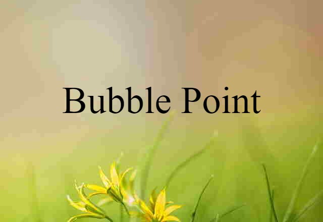 Bubble Point (noun) Definition, Meaning & Examples