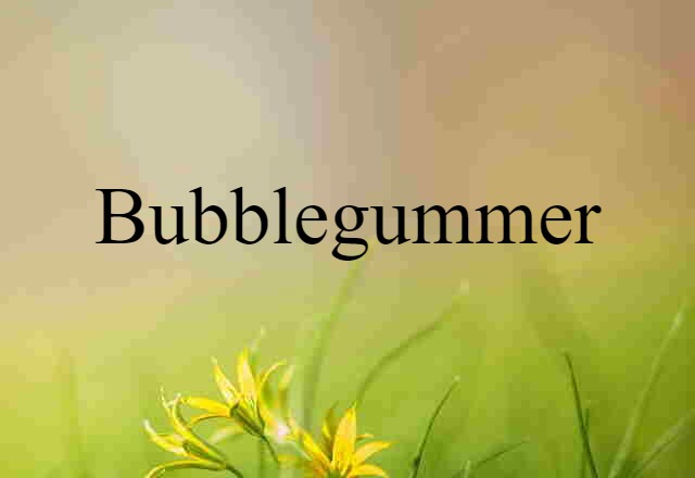 Bubblegummer (noun) Definition, Meaning & Examples