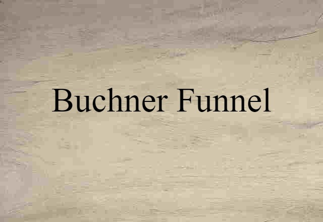 Buchner Funnel (noun) Definition, Meaning & Examples