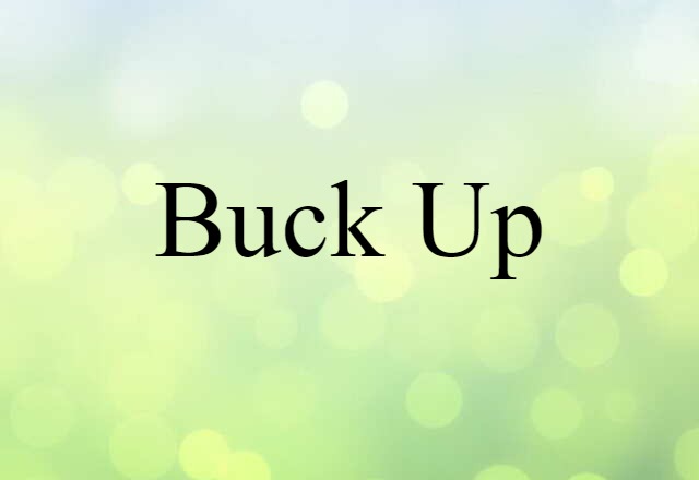 Buck Up (noun) Definition, Meaning & Examples