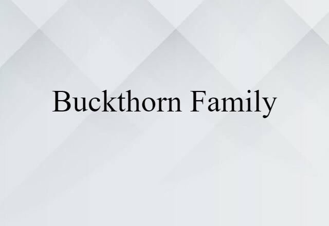 buckthorn family