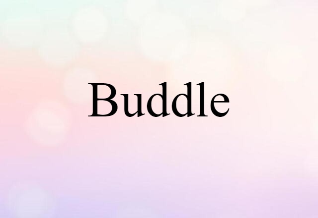 buddle