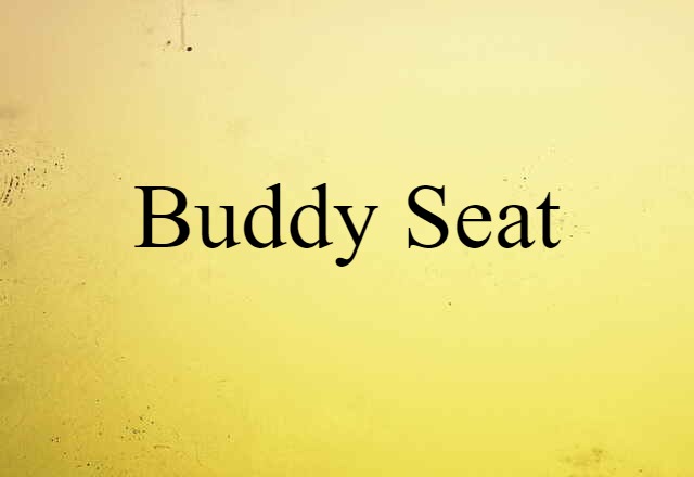 Buddy Seat (noun) Definition, Meaning & Examples