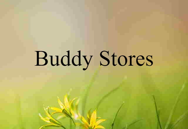 buddy stores