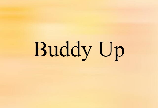 Buddy Up (noun) Definition, Meaning & Examples