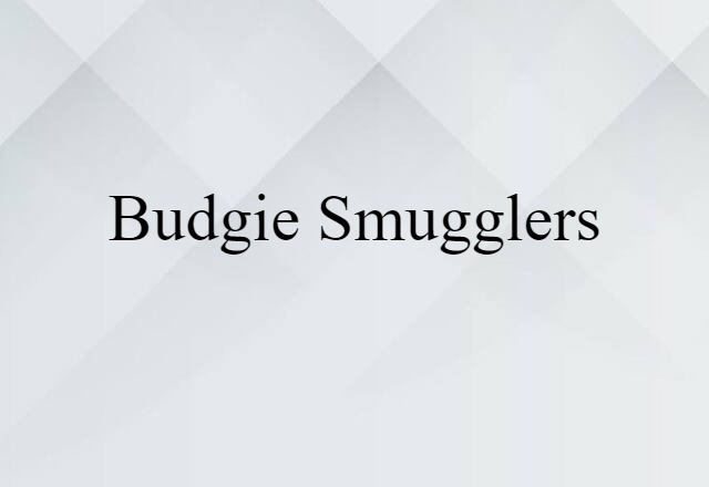 budgie smugglers