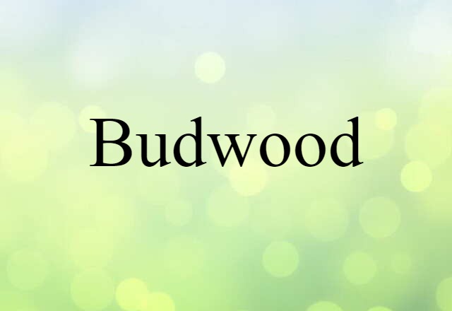 Budwood (noun) Definition, Meaning & Examples