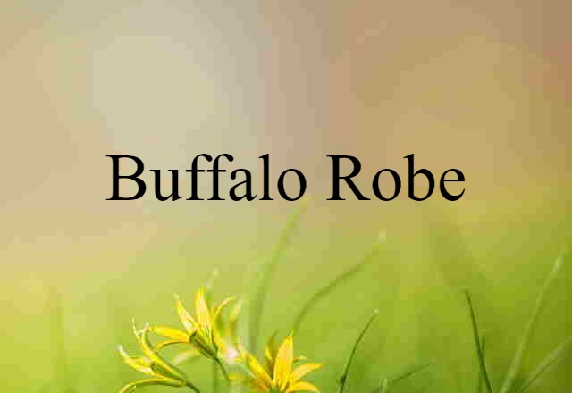 Buffalo Robe (noun) Definition, Meaning & Examples