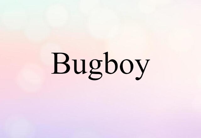 bugboy