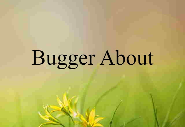 Bugger About (noun) Definition, Meaning & Examples