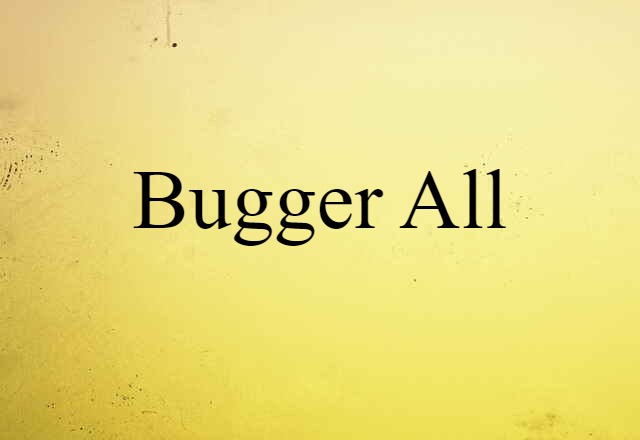 Bugger-all (noun) Definition, Meaning & Examples