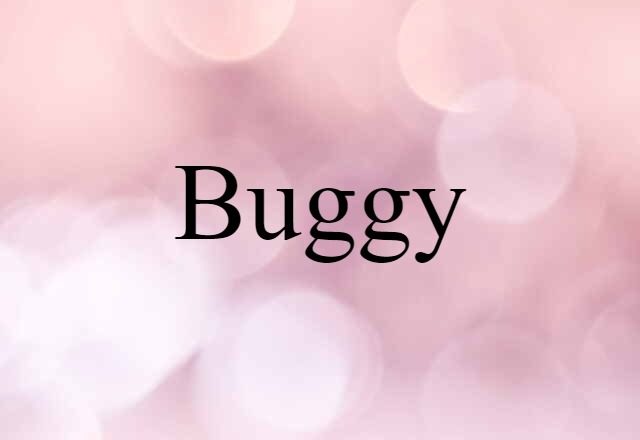 Buggy (noun) Definition, Meaning & Examples