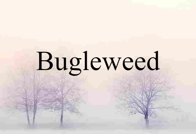 bugleweed