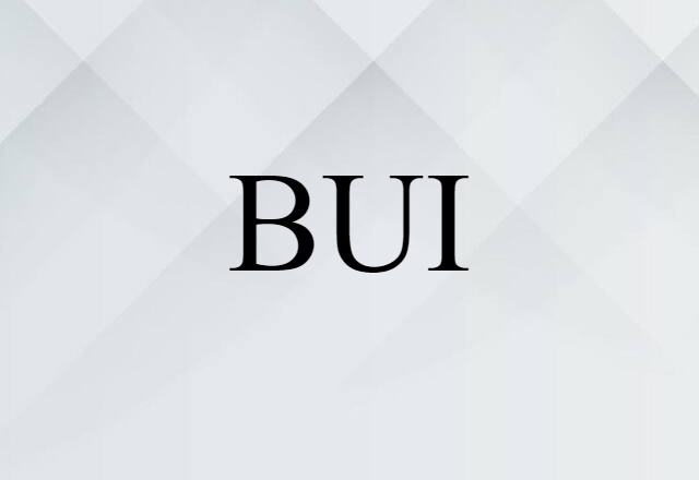 BUI (noun) Definition, Meaning & Examples