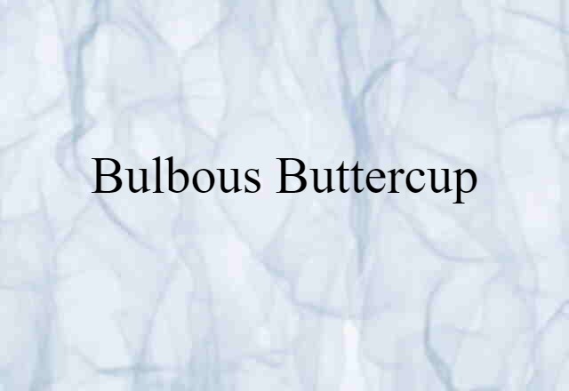 bulbous buttercup