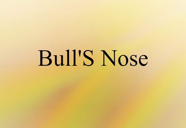 Bull's Nose (noun) Definition, Meaning & Examples