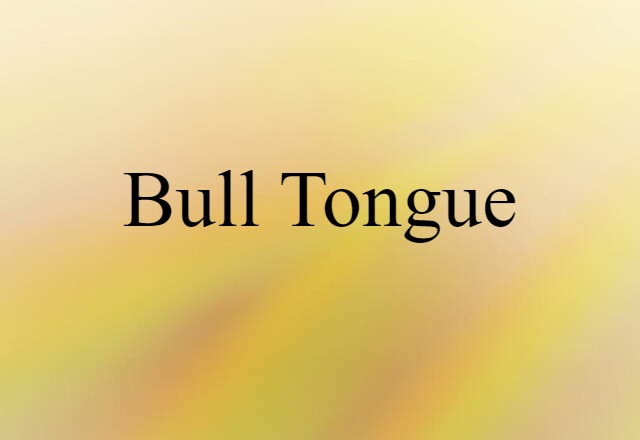 Bull Tongue (noun) Definition, Meaning & Examples