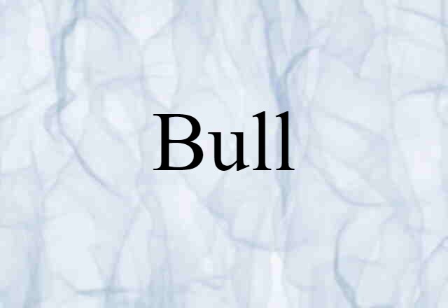 Bull (noun) Definition, Meaning & Examples