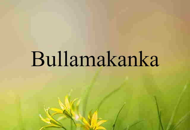 Bullamakanka (noun) Definition, Meaning & Examples