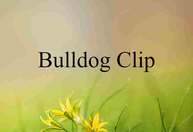 Bulldog Clip (noun) Definition, Meaning & Examples