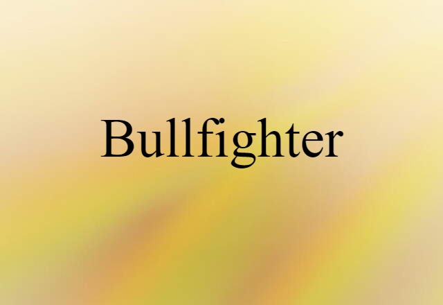 bullfighter