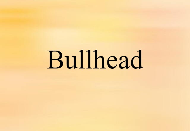 Bullhead (noun) Definition, Meaning & Examples