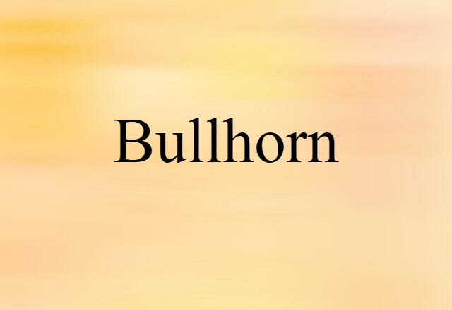 bullhorn